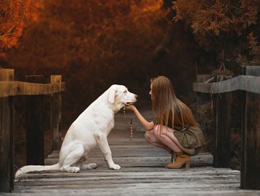 6 качеств настоящего догситтера