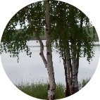 Няня, Нижний Новгород, Лариса Михайловна