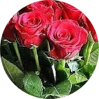 Сиделка, Москва, Хилола Таиржановна