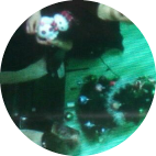 Домработница, Москва, Ойбарчин Неъматуллоевна