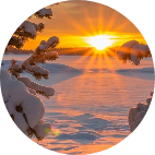 Домработница, Москва, Надежда Алексеевна