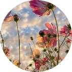 Няня, Белгород, Марина Филипповна