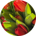 Няня, Санкт-Петербург, Наталья Юрьевна