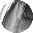 Репетитор, Москва, 9 а