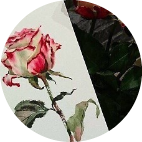 Няня, Москва, Светлана Алексеевна