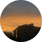 Уход за животными, Вологда, Николай Лебедев